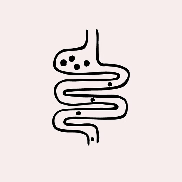 Mikrobiom & Darmgesundheit